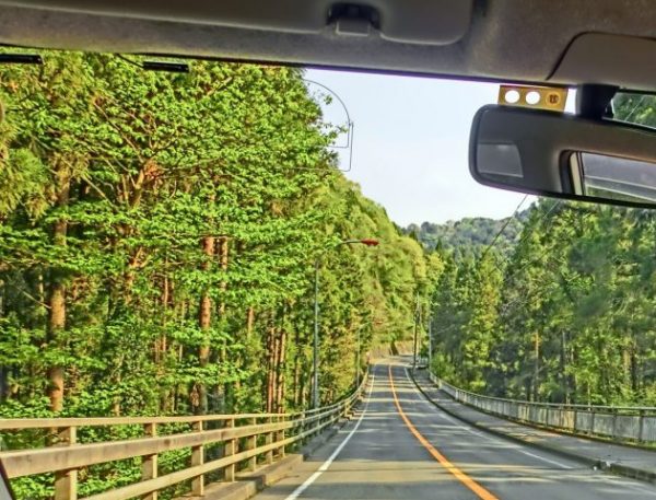 井川 362号線
